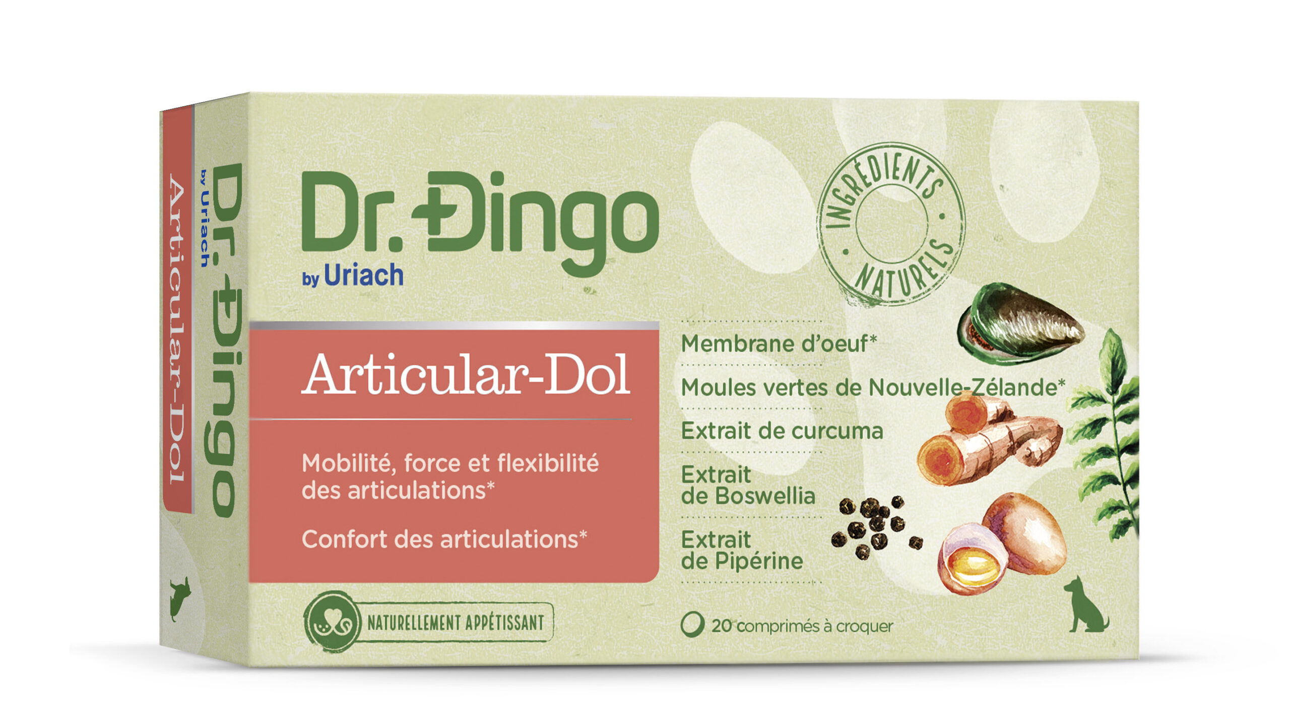 Dr Dingo Articular-Dol 20