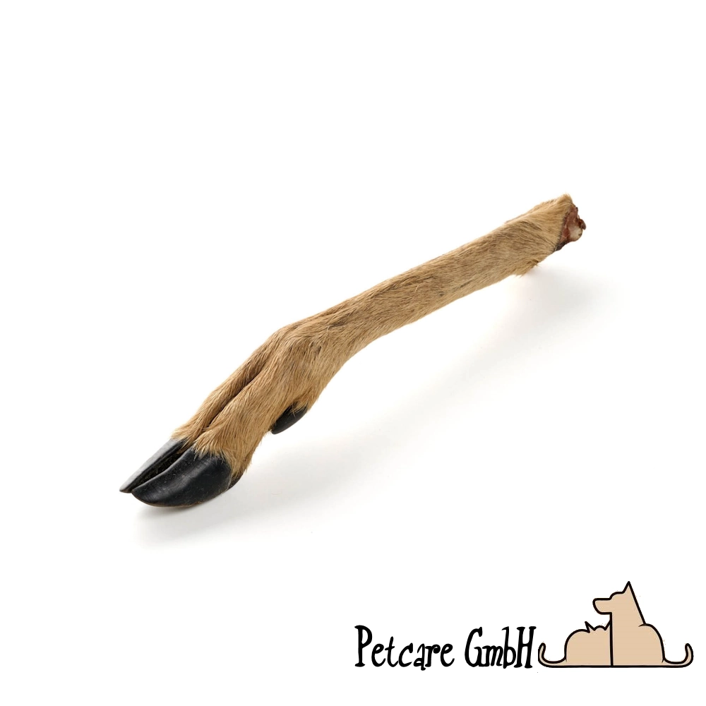 Reh-Unterbein mit Fell 1 Stk.