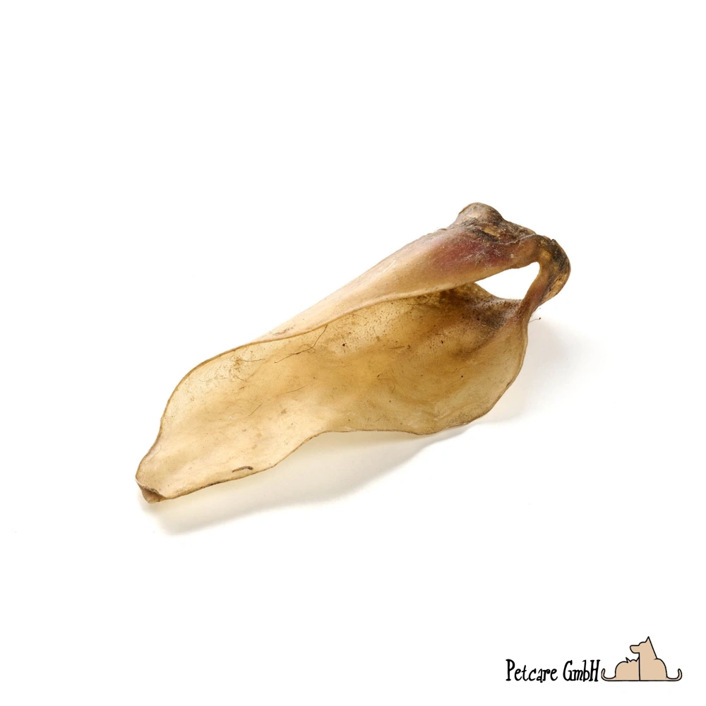 Kalbs-Ohren M mit Muschelansatz 5 Stk.